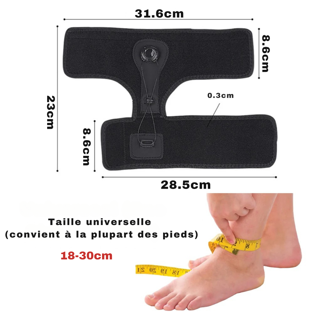 Alignéa | Attelle de nuit pour épine calcanéenne